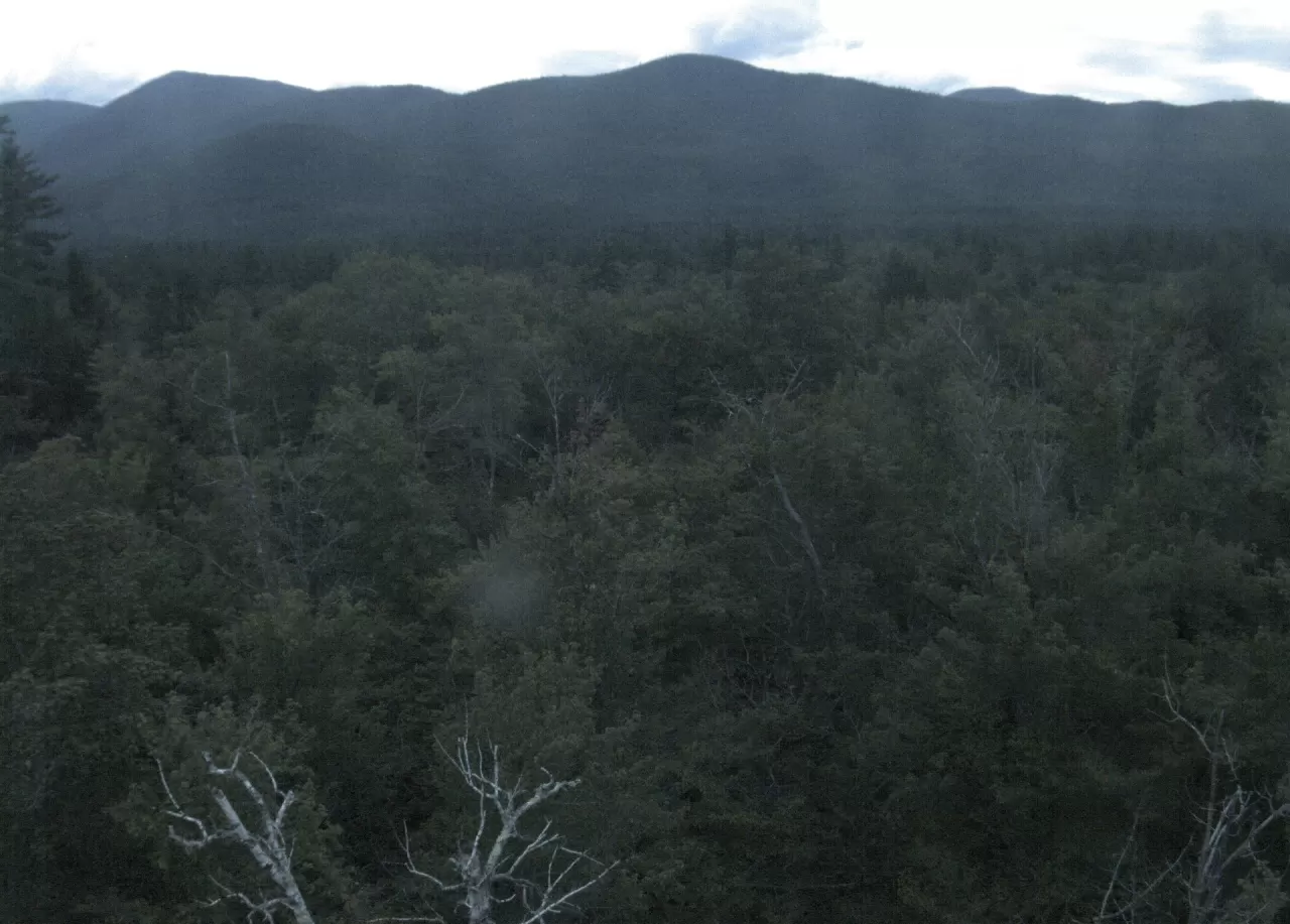 White Mountain National Forest