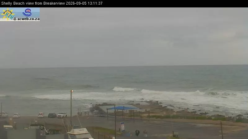 Shelly Beach