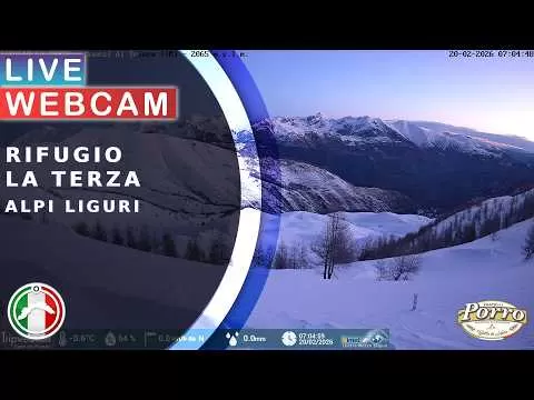 Monesi