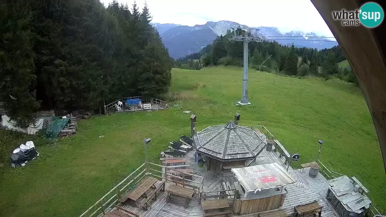 Ski Resort Zoncolan Mountain - Goles