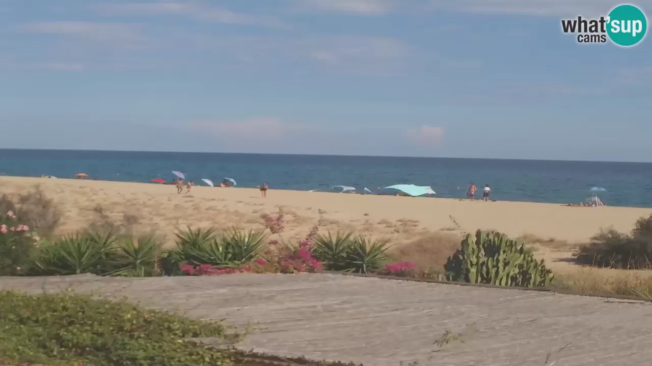 Live Webcam Marina di - Beach in Sardinia - Italy