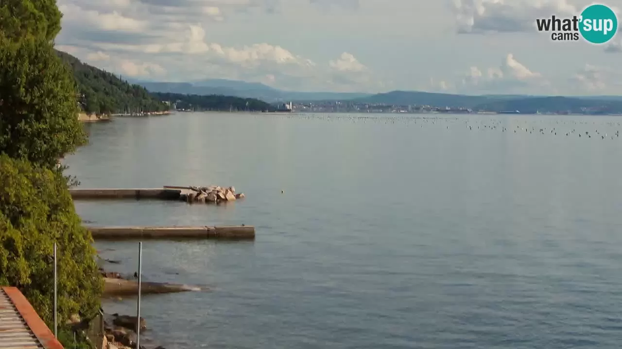 Webcam BellaRiva Restaurant | Trieste Coast - View To Miramare Castle