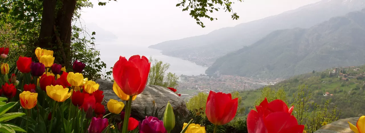 Lago di Como