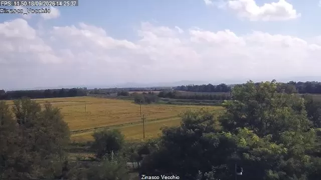 Zinasco