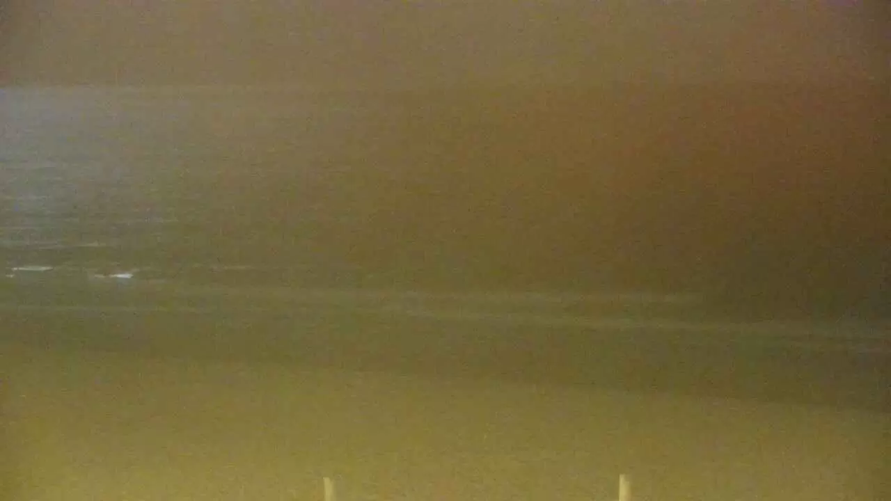 Surf School and Camp 9 Feet El Palmar