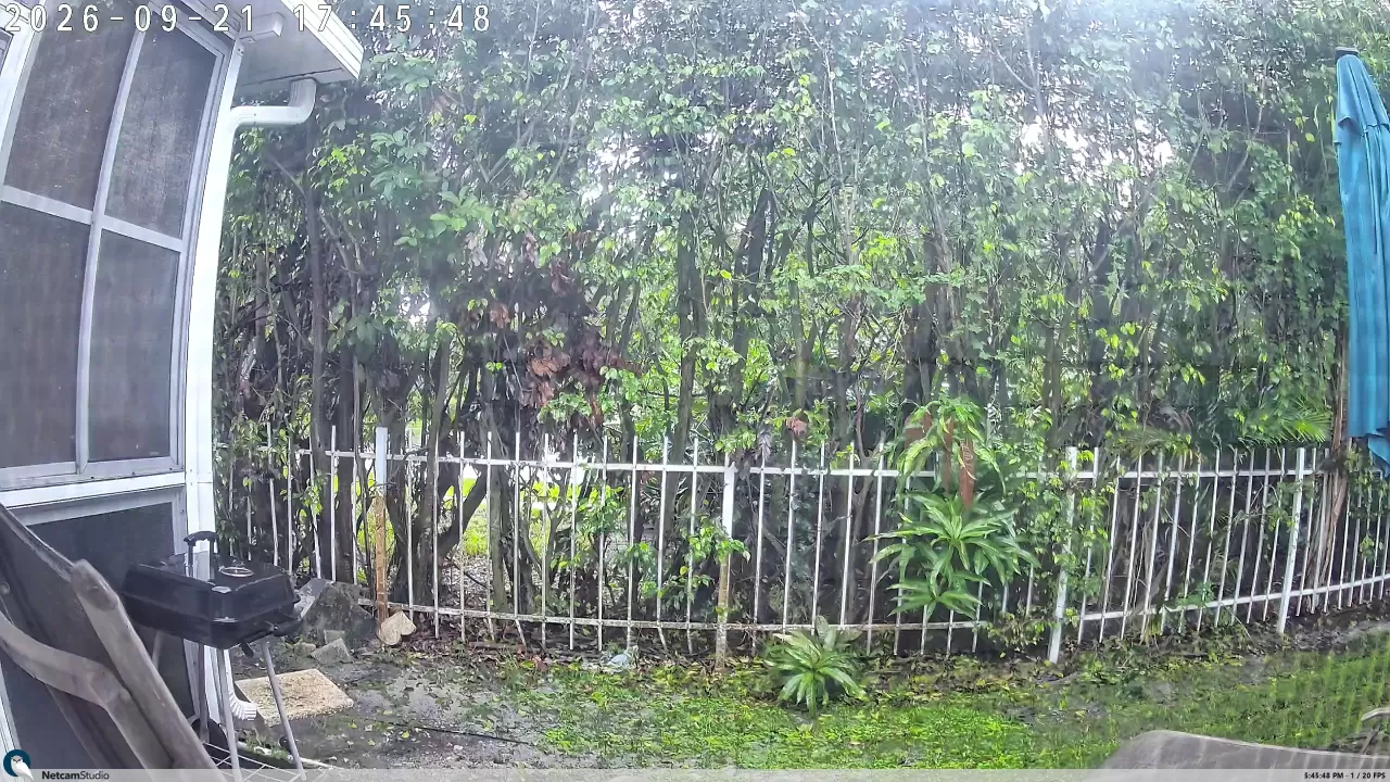 Broward Weather Camera – South View