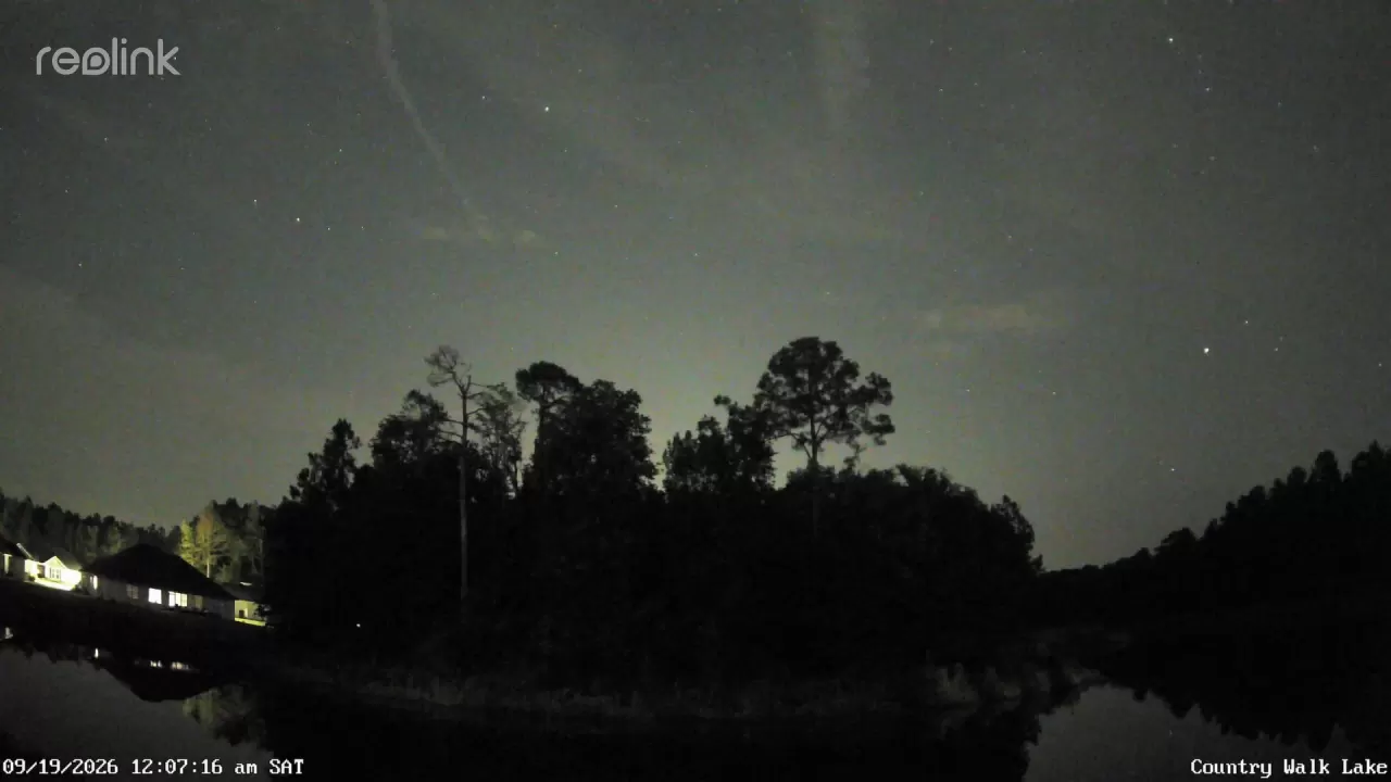Pine Haven