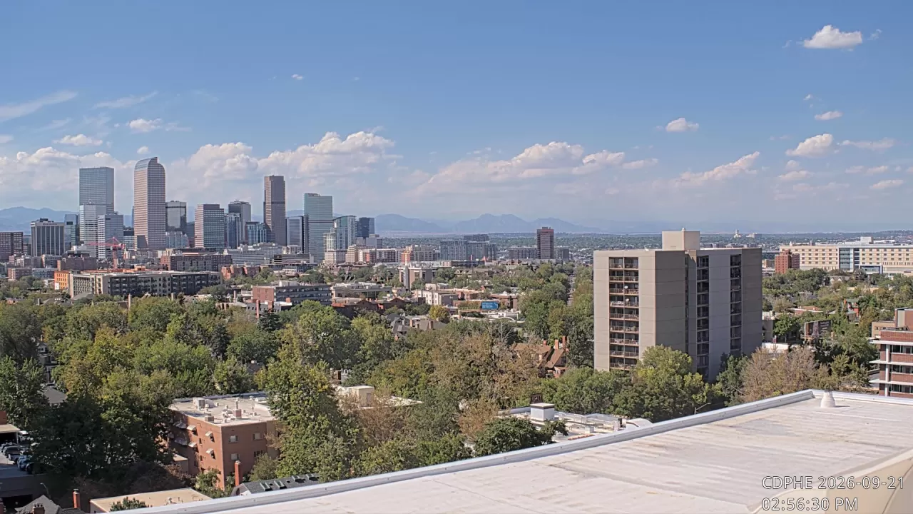 Live Downtown - Weather Camera