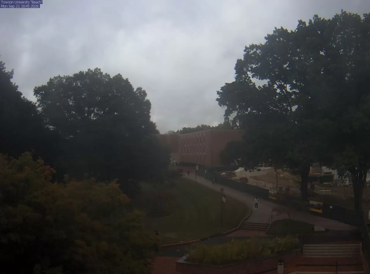 Albert S. Cook Library