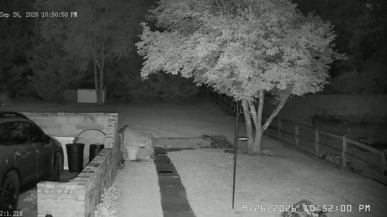 PTZ Camera