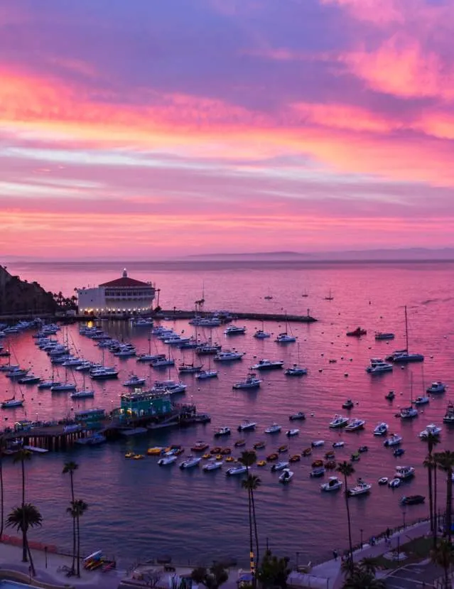 Avalon Bay - Casino Point Dive Park