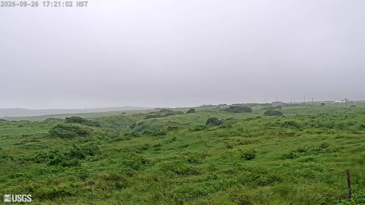 Color Webcam Image Showing Flank of Volcano