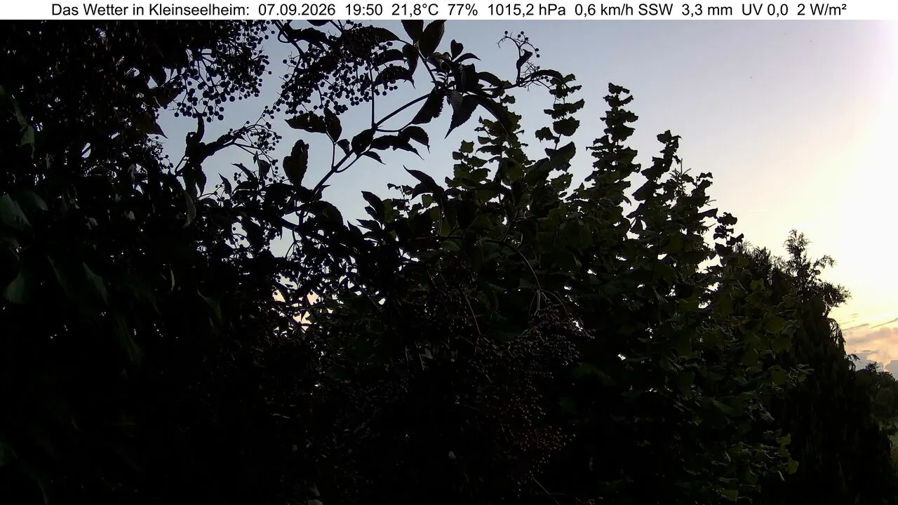Webcambild Kleinseelheim