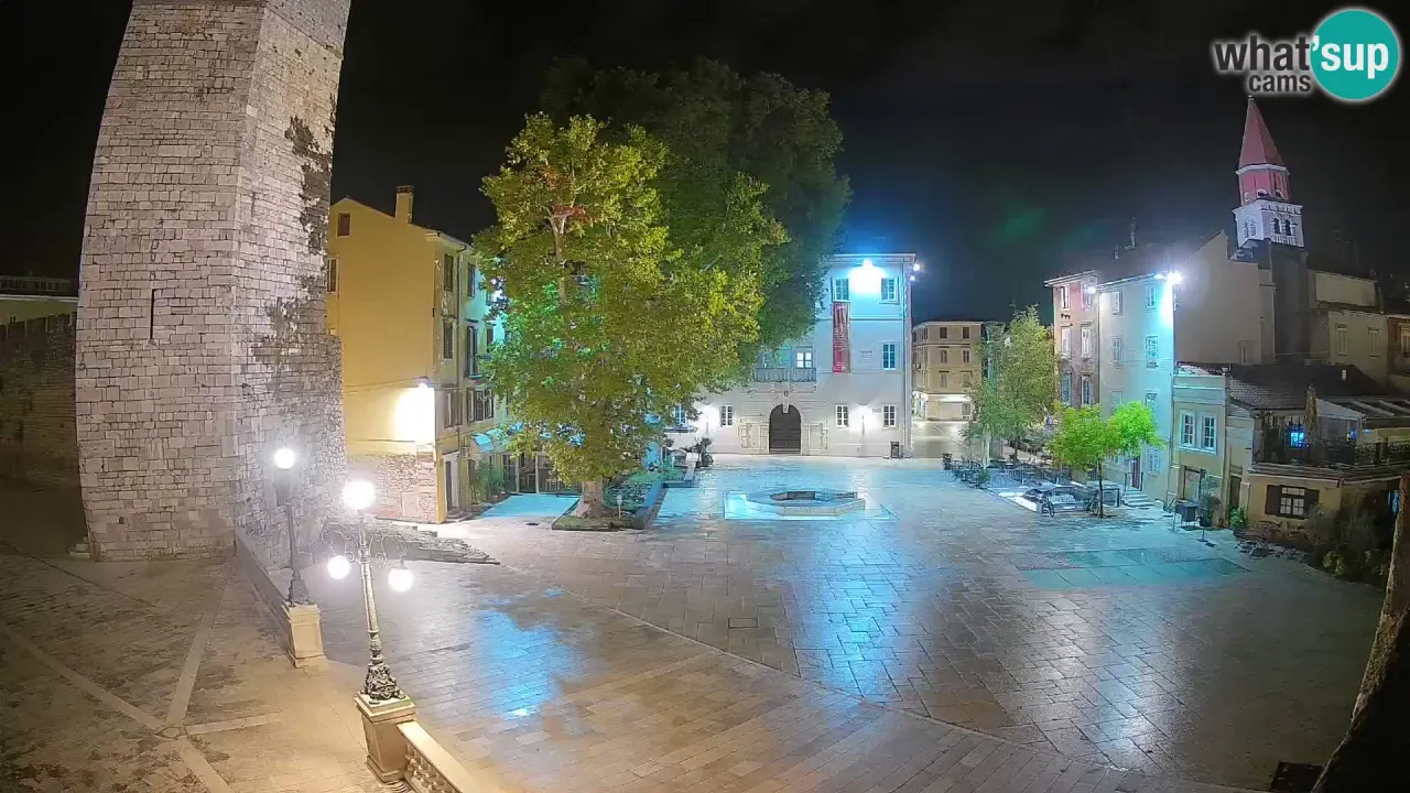Trg Petra Zoranića