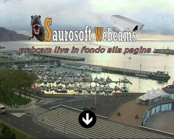 Saurosoft Webcams – Madeira