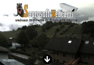 Saurosoft webcams - Margone (TN)